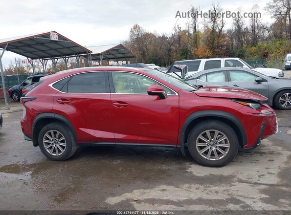 JTJDARDZ5M5028006 2021 LEXUS NX 300 Красный Вид задней части салона