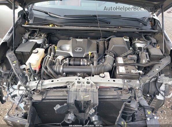 JTJDARDZXM2260490 2021 LEXUS NX 300 Серебряный Вид сзади