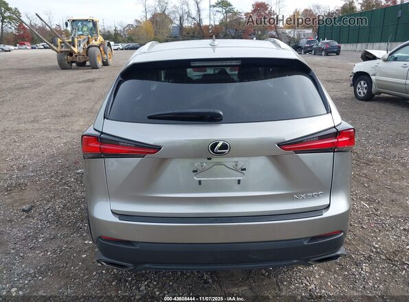 JTJDARDZXM2260490 2021 LEXUS NX 300 Серебряный 