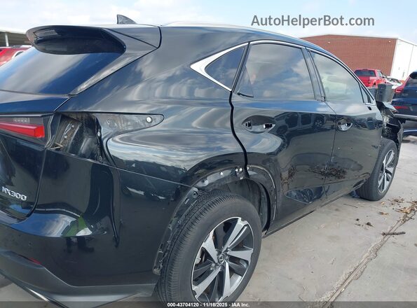JTJGARBZ1L5010701 2020 LEXUS NX 300 Черный Вид спереди