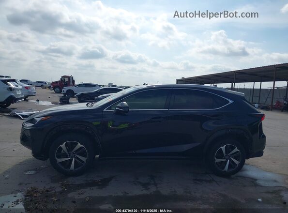 JTJGARBZ1L5010701 2020 LEXUS NX 300 Черный 