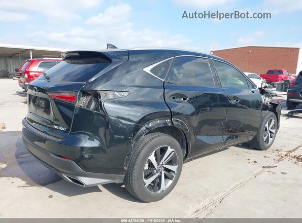 JTJGARBZ1L5010701 2020 LEXUS NX 300 Черный Задняя правая четверть