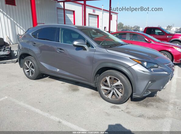 JTJGARBZ2M2181444 2021 LEXUS NX 300 Gray Przód prawy