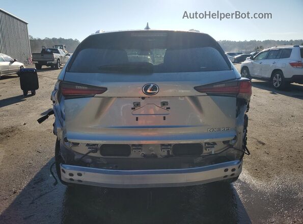 JTJGARBZ2M5032322 2021 LEXUS NX Серый Вид сзади