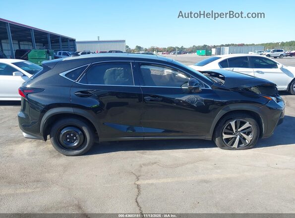 JTJGARBZ4M2185950 2021 LEXUS NX 300 Черный Вид задней части салона