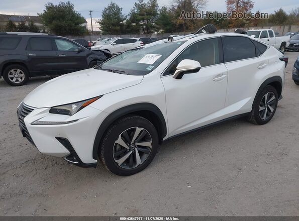 JTJGARDZ2M5019163 2021 LEXUS NX 300 Белый Передняя левая четверть