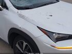 2021 Lexus Nx 300   Белый vin: JTJGARDZ2M5019163