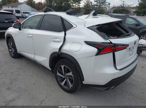 JTJGARDZ2M5019163 2021 LEXUS NX 300 Белый Задняя левая четверть