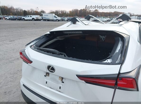 JTJGARDZ2M5019163 2021 LEXUS NX 300 Белый 