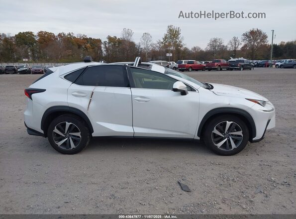 JTJGARDZ2M5019163 2021 LEXUS NX 300 Белый Вид задней части салона