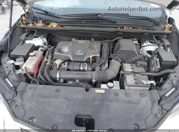 JTJGARDZ2M5019163 2021 LEXUS NX 300 Белый Вид сзади