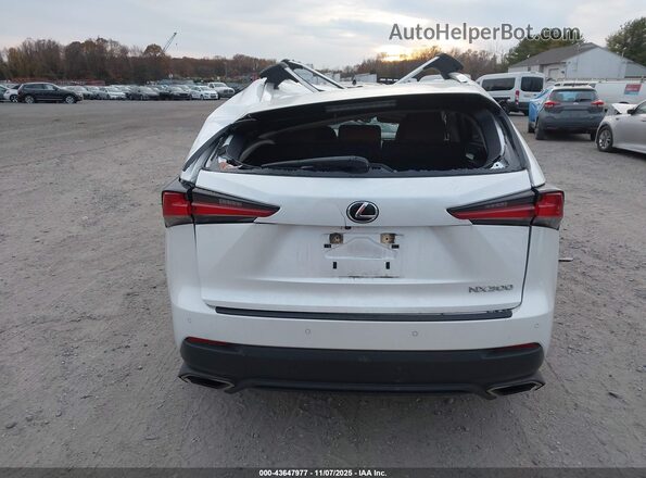 JTJGARDZ2M5019163 2021 LEXUS NX 300 Белый 