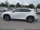 2021 Lexus Nx 300   Белый vin: JTJGARDZ2M5019163