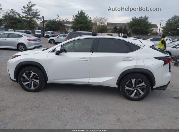 JTJGARDZ2M5019163 2021 LEXUS NX 300 Белый Панорамный вид салона 360°
