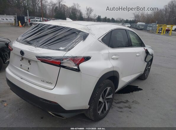 JTJGARDZ2M5019373 2021 LEXUS NX 300 White Trasero derecho