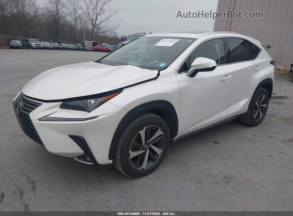 JTJGARDZ2M5019373 2021 LEXUS NX 300 White Vista tres cuartos delantera izquierda