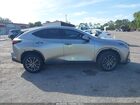2024 Lexus Nx 350h Premium Серый vin: JTJGKCEZ1R5022734
