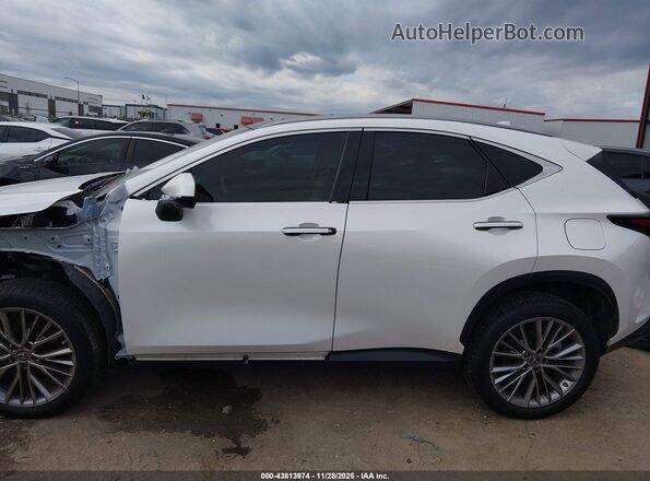 JTJHGCEZ0N2000435 2022 LEXUS NX 350 White 
