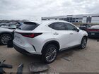 2022 Lexus Nx 350 Luxury White vin: JTJHGCEZ0N2000435