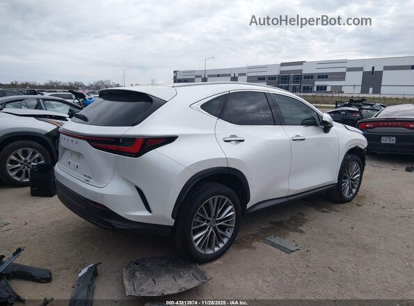 JTJHGCEZ0N2000435 2022 LEXUS NX 350 White Trasero derecho