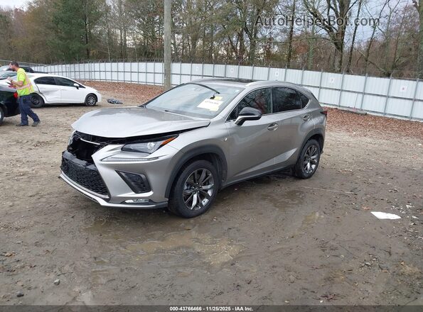 JTJSARBZ0L2173996 2020 LEXUS NX 300 Silver Front left
