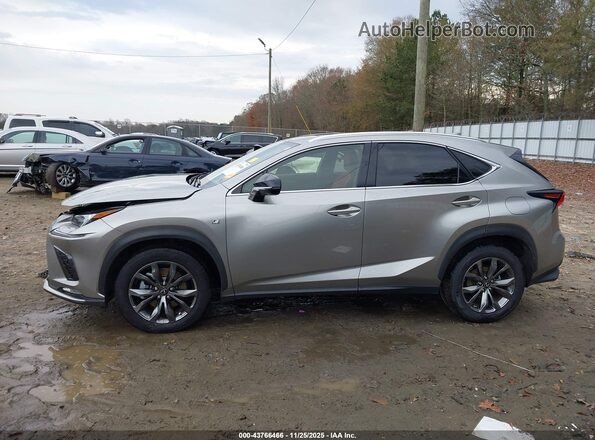 JTJSARBZ0L2173996 2020 LEXUS NX 300 Silver 