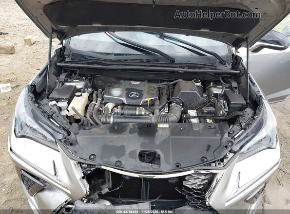 JTJSARBZ0L2173996 2020 LEXUS NX 300 Silver Rear view