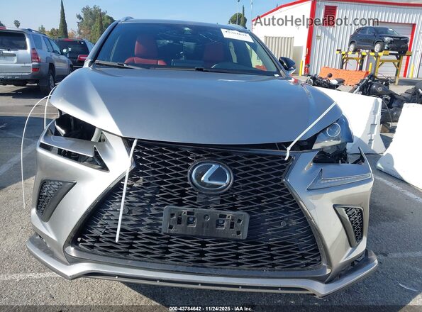 JTJSARBZ4M2180662 2021 LEXUS NX 300 Серый Вид задней части салона