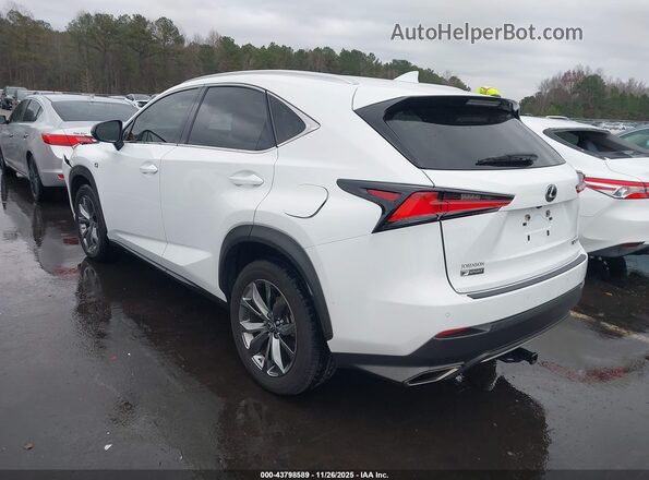 JTJSARBZ5L5012980 2020 LEXUS NX 300 White უკანა მარცხენა