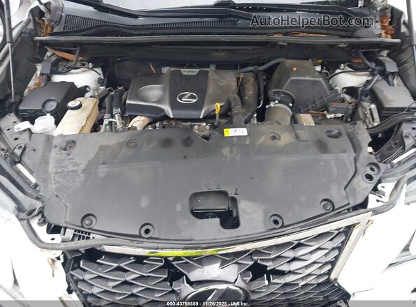 JTJSARBZ5L5012980 2020 LEXUS NX 300 White უკანა ხედი
