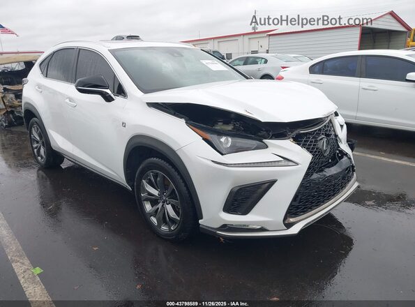 JTJSARBZ5L5012980 2020 LEXUS NX 300 White წინა მარჯვენა
