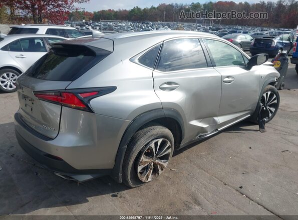 JTJSARDZ6L2231378 2020 LEXUS NX 300 Silver Հետևի աջ