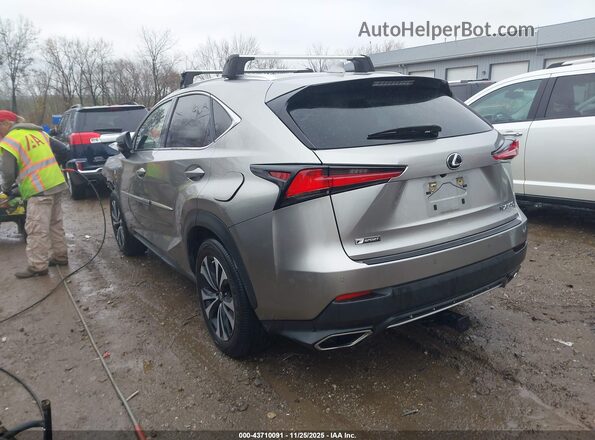JTJSARDZ9L5007620 2020 LEXUS NX 300 Серый Задняя левая четверть