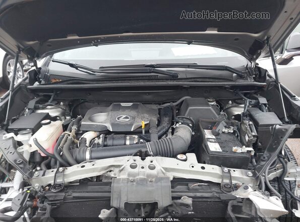 JTJSARDZ9L5007620 2020 LEXUS NX 300 Серый Вид сзади