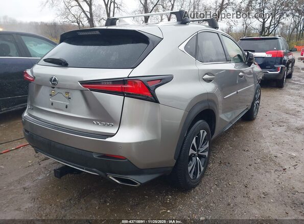 JTJSARDZ9L5007620 2020 LEXUS NX 300 Серый Задняя правая четверть