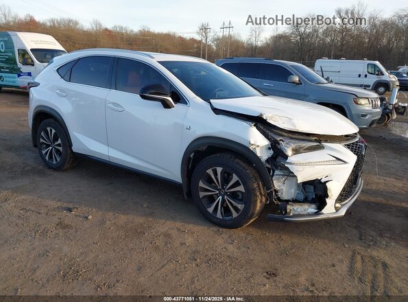 JTJSARDZXL5003897 2020 LEXUS NX 300 Белый Передняя правая четверть