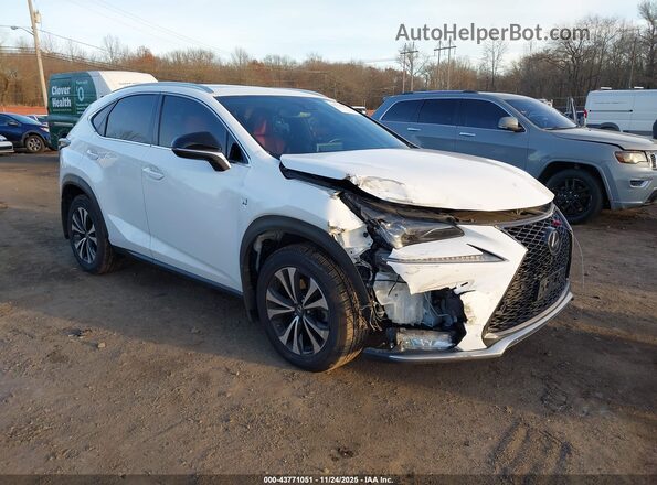 JTJSARDZXL5003897 2020 LEXUS NX 300 Белый Вид спереди