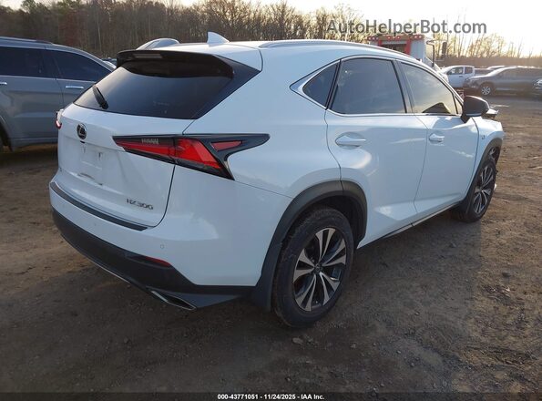 JTJSARDZXL5003897 2020 LEXUS NX 300 Белый Задняя правая четверть