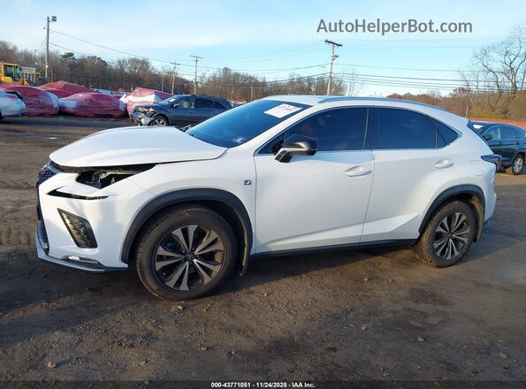 JTJSARDZXL5003897 2020 LEXUS NX 300 Белый 