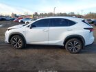 2020 Lexus Nx 300 F Sport Белый vin: JTJSARDZXL5003897