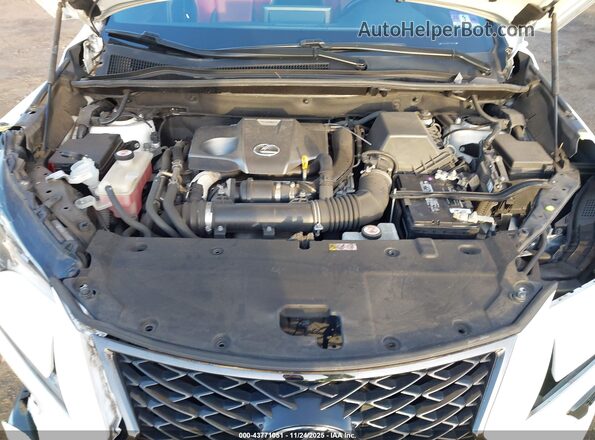 JTJSARDZXL5003897 2020 LEXUS NX 300 Белый Вид сзади
