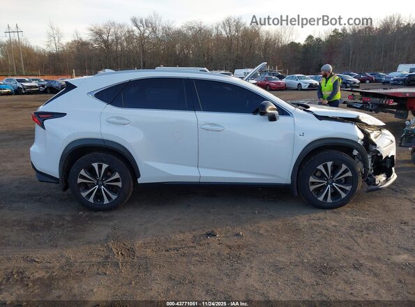 JTJSARDZXL5003897 2020 LEXUS NX 300 Белый Вид задней части салона