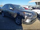 2024 Toyota Rav4 Hybrid Xle Gray vin: JTMRWRFV3RD222437