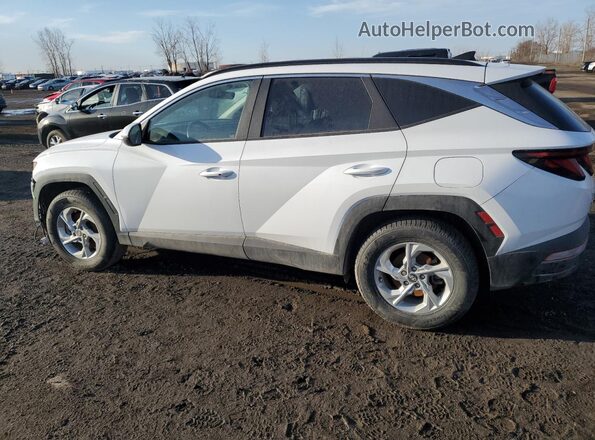 KM8JBCAE2NU131842 2022 HYUNDAI TUCSON Белый Задняя левая четверть