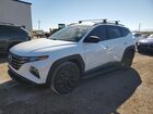 2023 Hyundai Tucson N Line White vin: KM8JF3AE1PU190632
