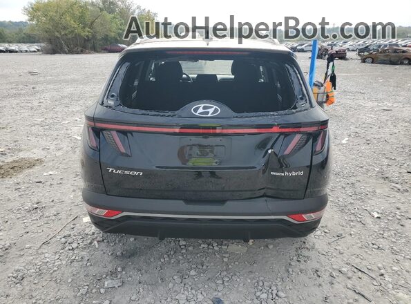 KM8JFCA10NU073599 2022 HYUNDAI TUCSON Черный Вид сзади