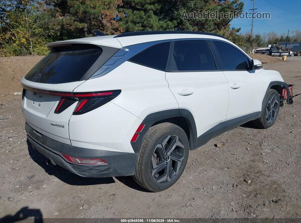 KM8JFCA12NU045562 2022 HYUNDAI TUCSON HYBRID Белый Задняя правая четверть