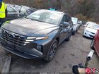 2023 Hyundai Tucson Plug-in Hybrid Limited Зеленый vin: KM8JFDA21PU113965