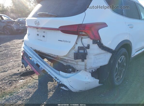 KM8S2DA14MU005827 2021 HYUNDAI SANTA FE HYBRID BLUE White Vista frontal