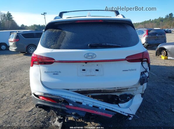 KM8S2DA14MU005827 2021 HYUNDAI SANTA FE HYBRID BLUE White 